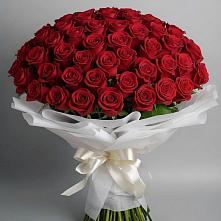 Букет 101 Красная роза Блэк Мэджик #REPLACE_PRED# Малмыже