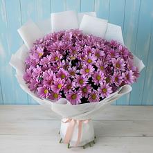 Букет цветов из:  Хризантемы в Малмыже