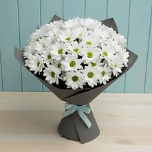 Букет цветов из:  Хризантемы в Малмыже