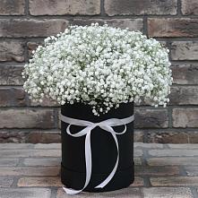 Цветочная композиция из Гипсофила в шляпной коробке в Малмыже