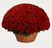 Премиум букет из: Розы в Малмыже