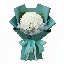 Букет цветов из:  Гортензия #REPLACE_PRED# Малмыже